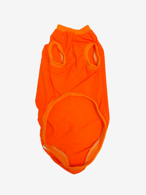 Orange Sherbet - Sun Crop (FINAL SALE)