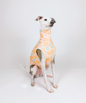 Peachy Shores – UPF50+ Sun Crop