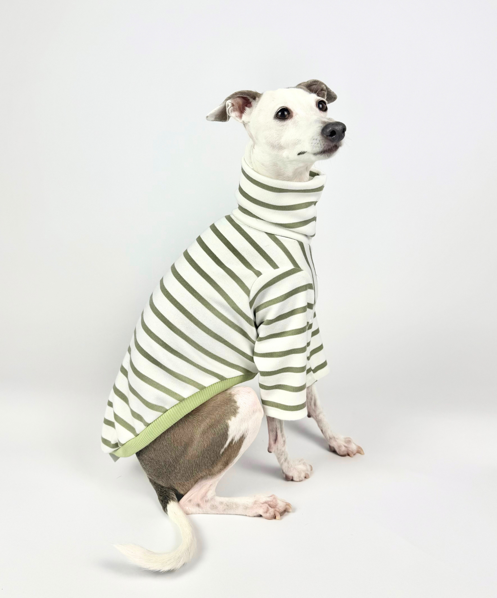 Pistachio – Half Suit