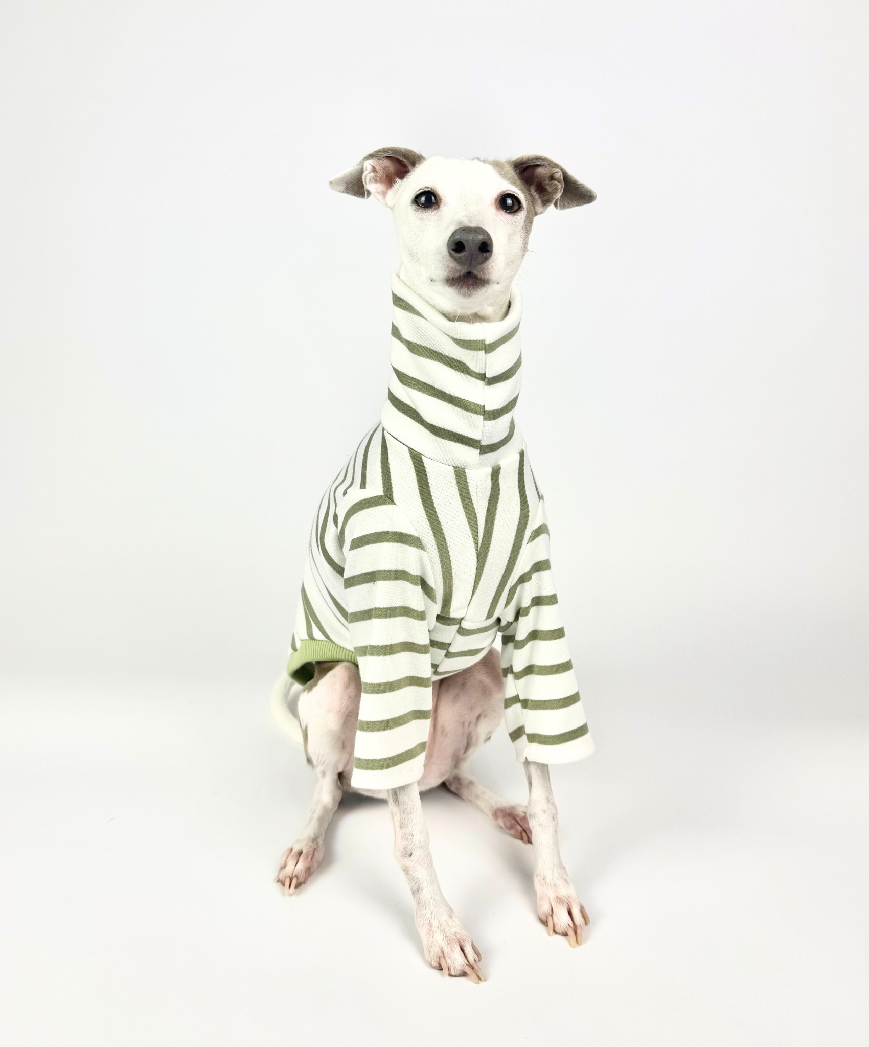 Pistachio – Half Suit