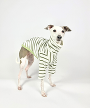 Pistachio – Half Suit
