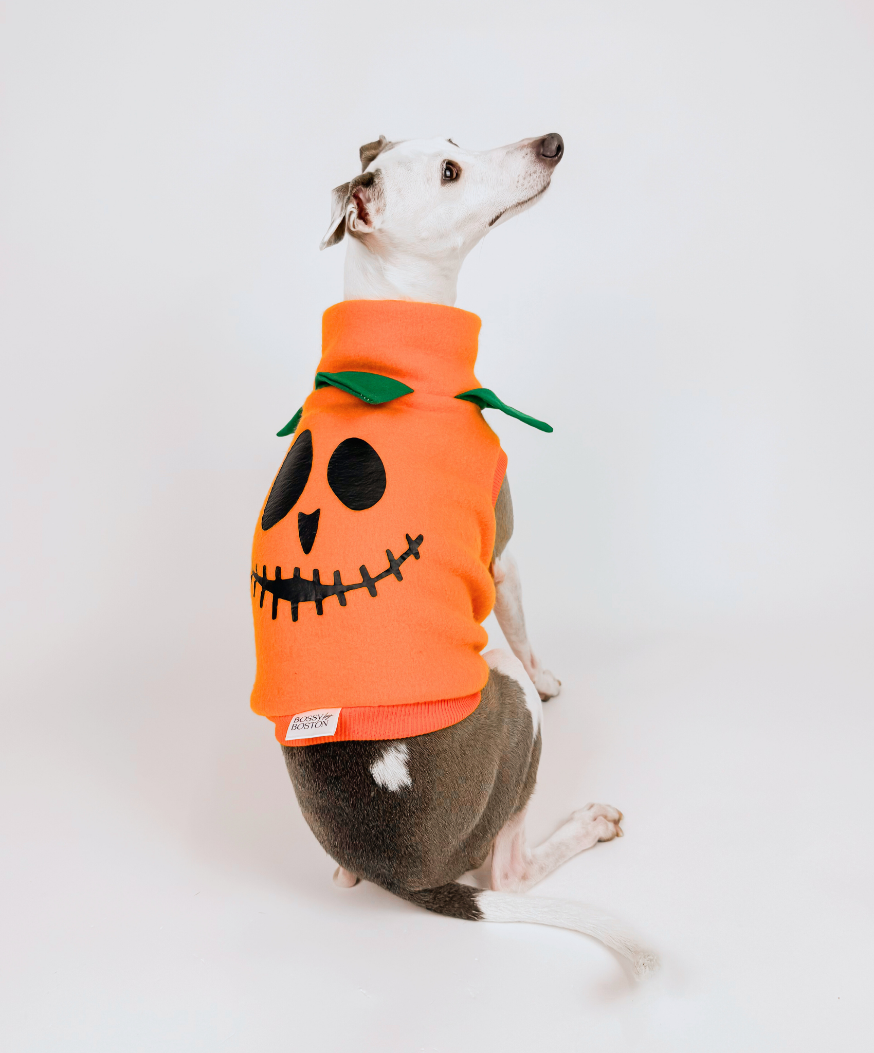 Boo Crew – Sleeveless Crop – Bossy by Boston