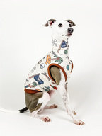 Pirate Paws – UPF50+ Sun Crop