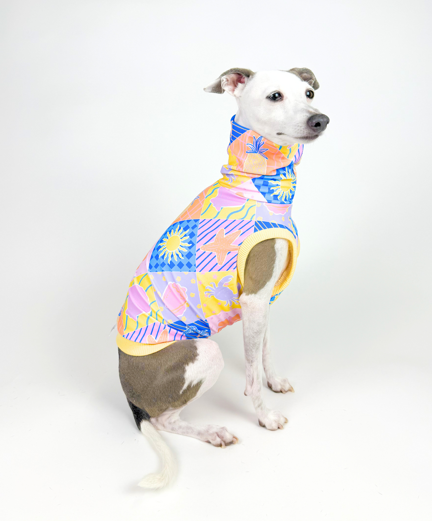 Polaroid Palms – UPF50+ Sun Crop