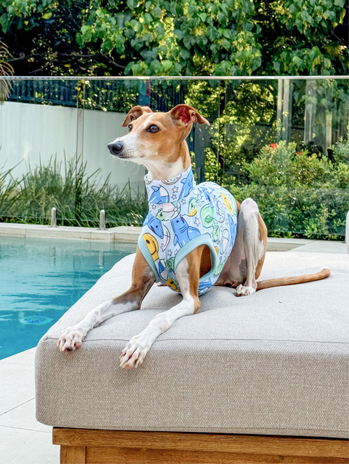 Pool Party n Chill – UPF50+ Sun Crop