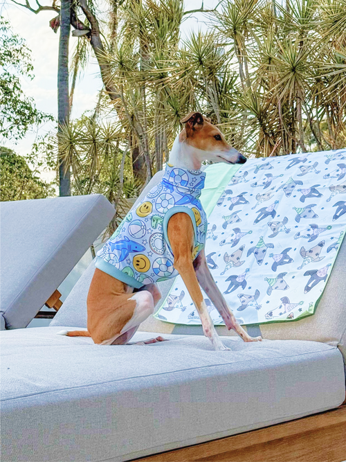 Pool Party n Chill – UPF50+ Sun Crop