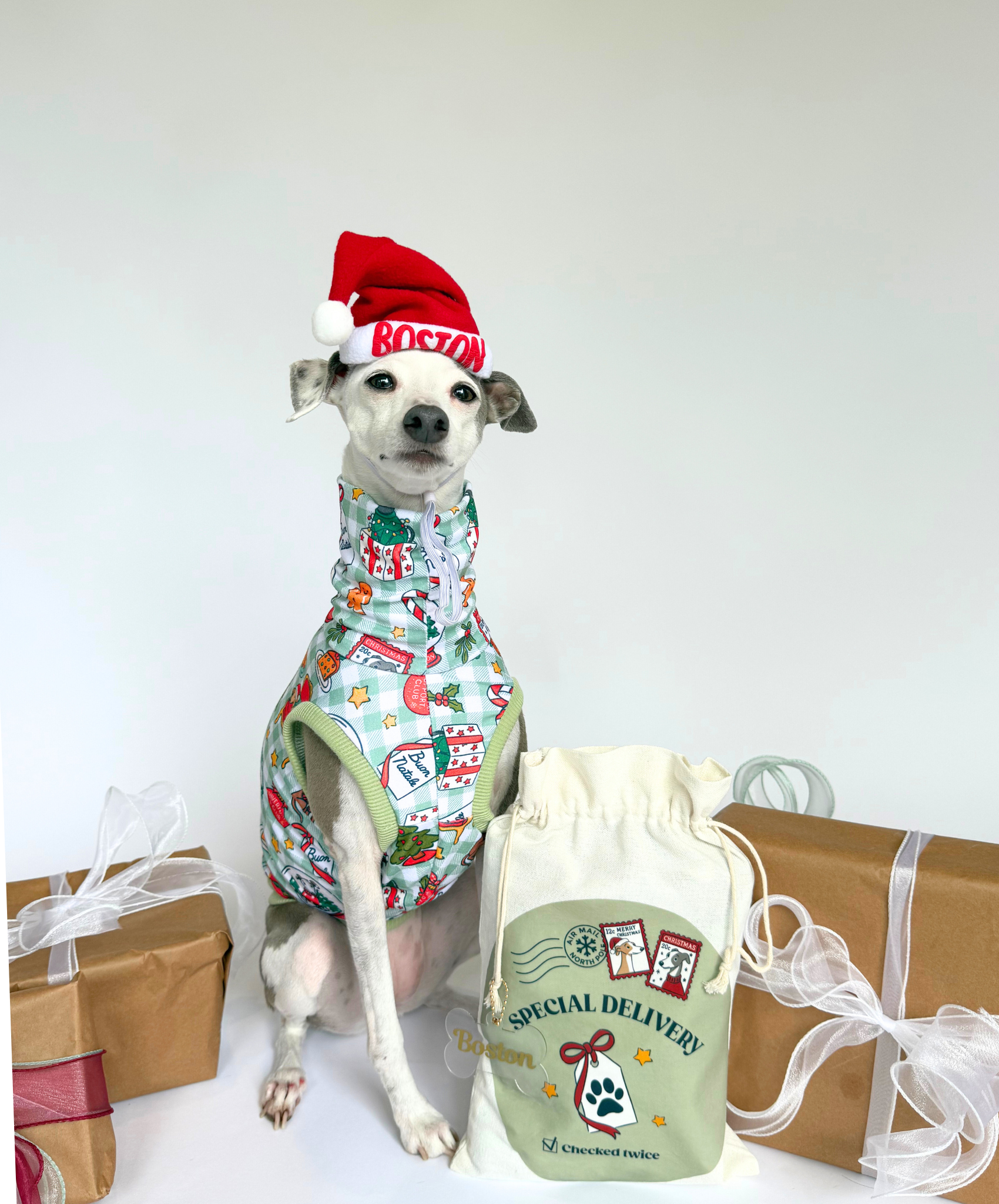 Bossy Customised – Bossy’s Christmas Pouch