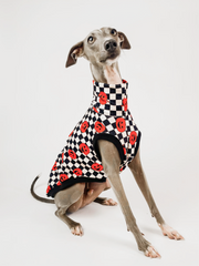 Pumpkin Checkmate – Sleeveless Suit