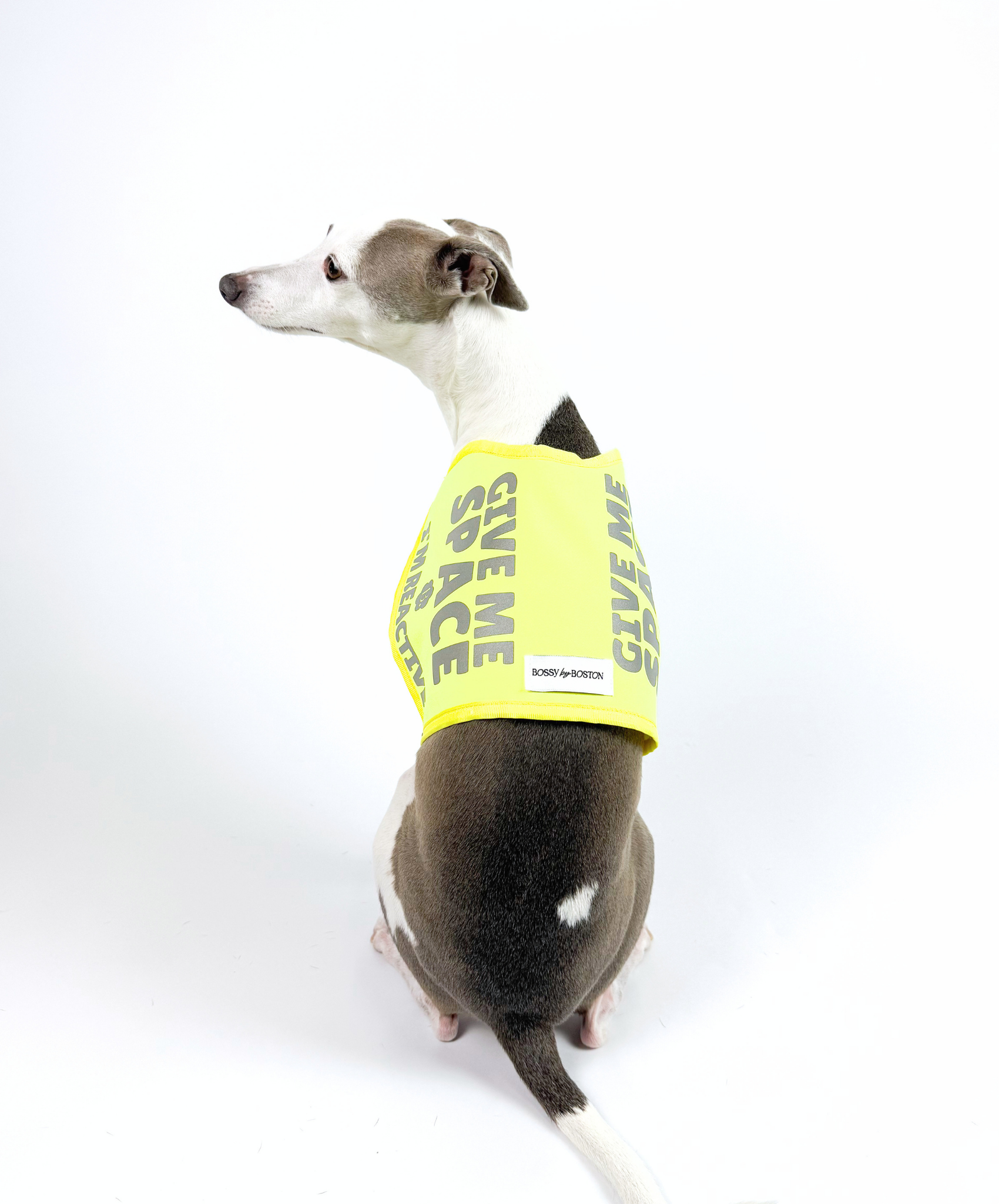 Bossy Customised – Custom Hound Vest