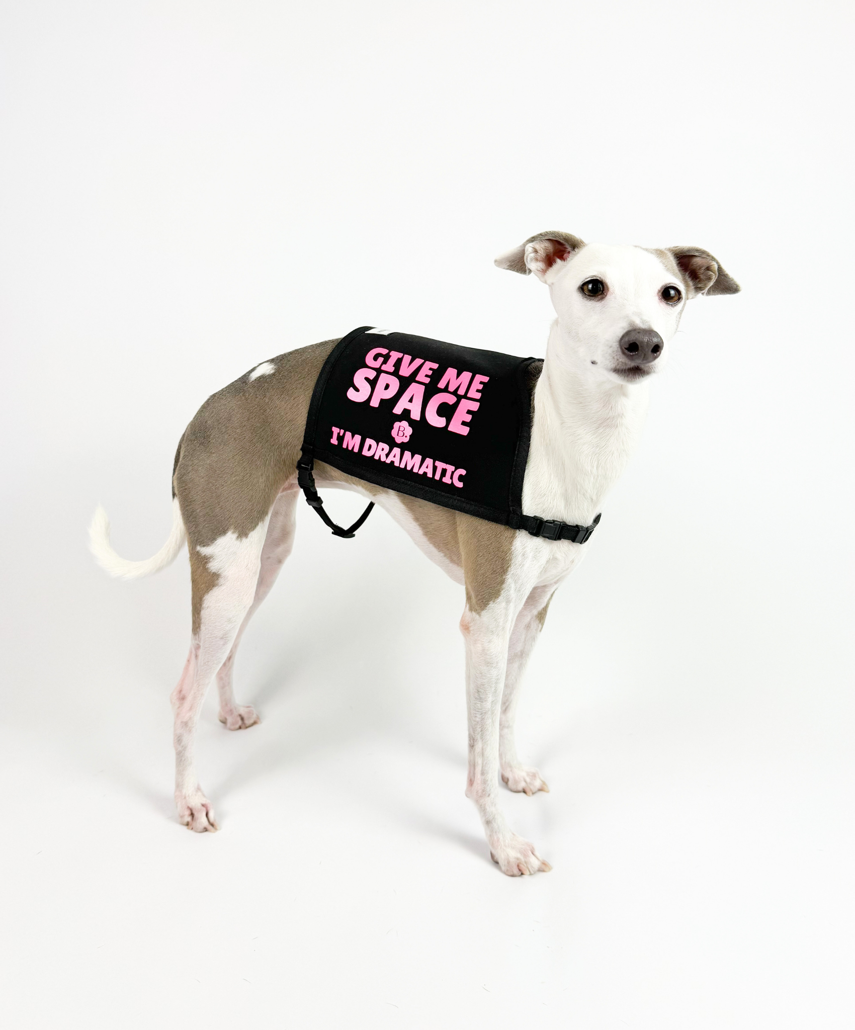 Bossy Customised – Custom Hound Vest