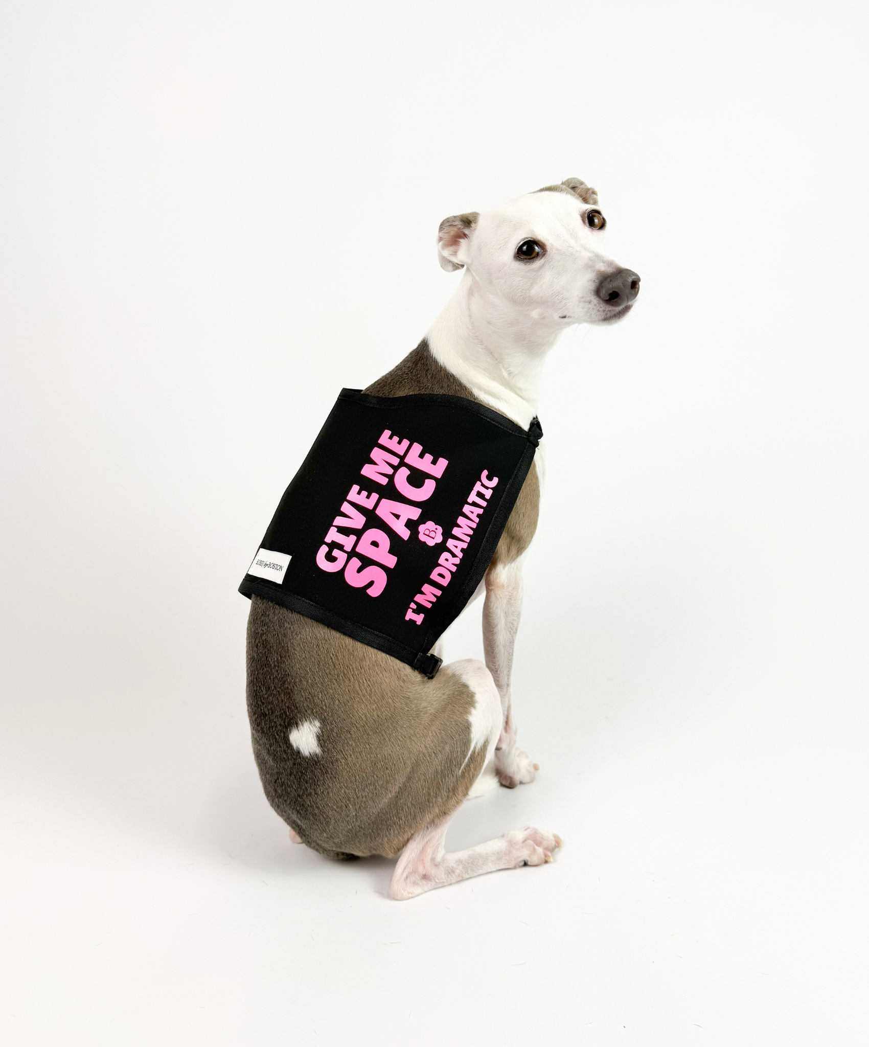 Bossy Customised – Custom Hound Vest