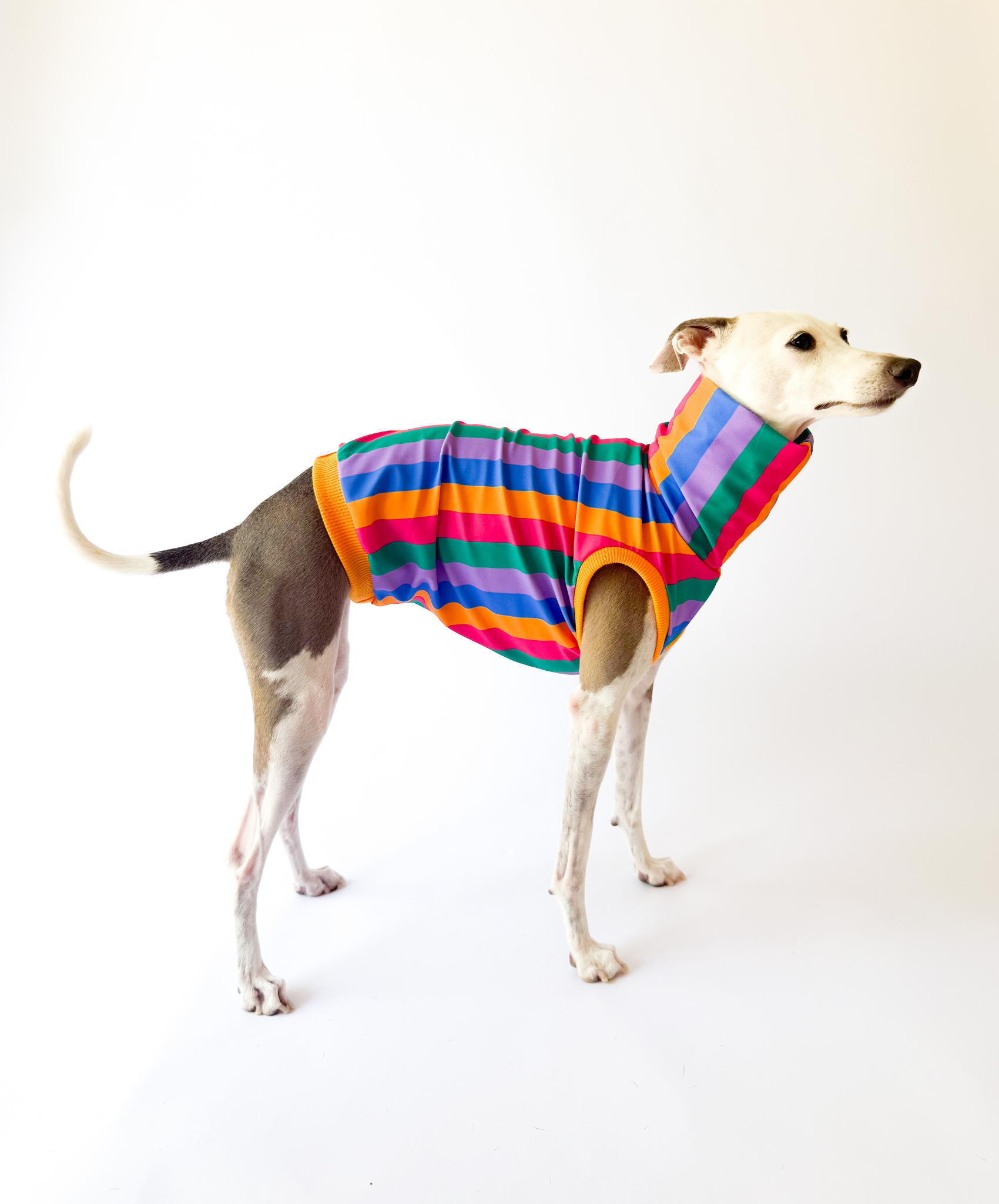 Sol  – UPF50+ Sun Crop