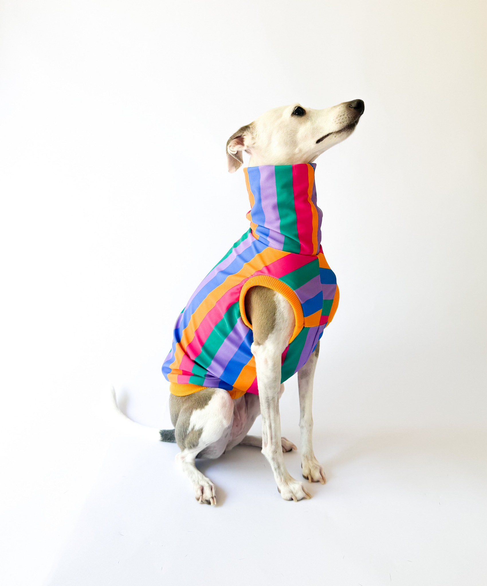 Sol  – UPF50+ Sun Crop