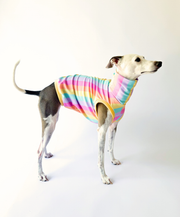 Sorbet – UPF50+ Sun Crop