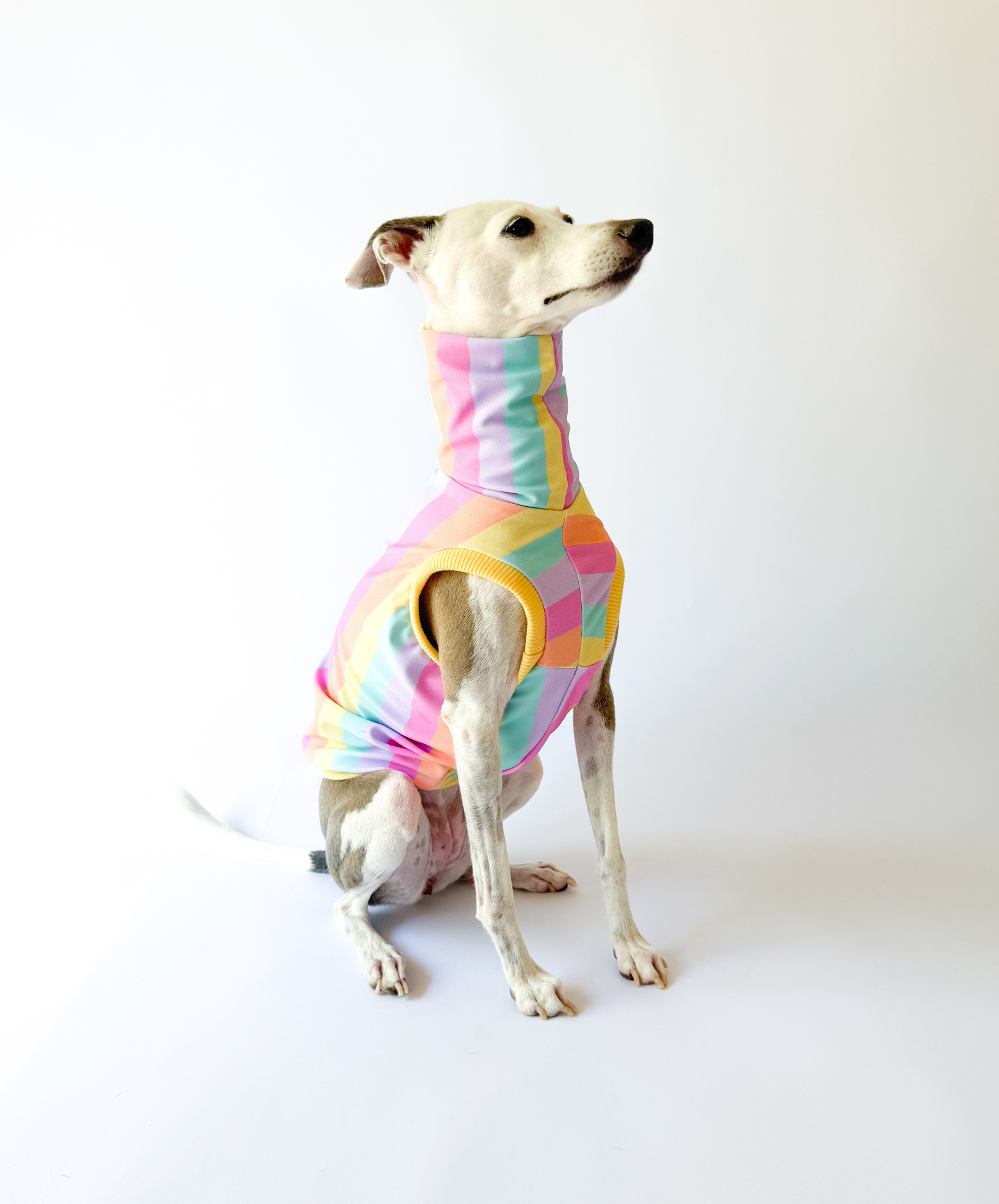 Sorbet – UPF50+ Sun Crop