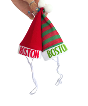 Bossy Customised – Bossy’s Santa Paws Hat