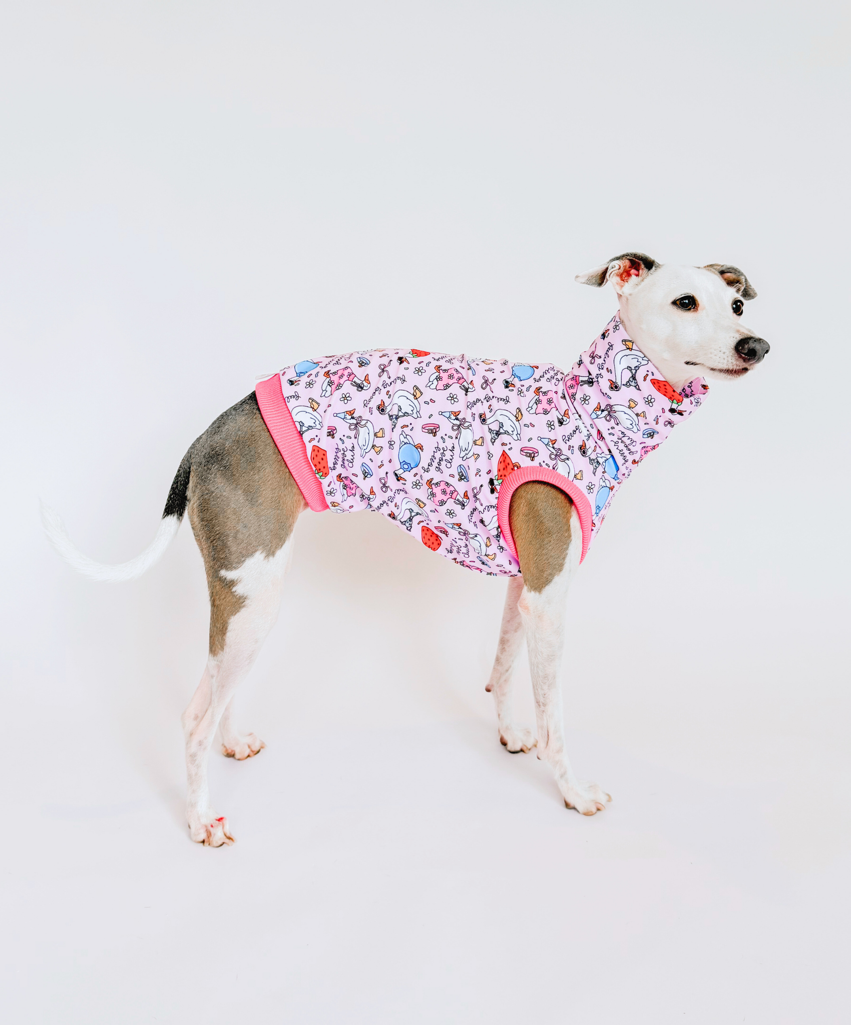 Silly Hound on the Prowl – UPF50+ Sun Crop