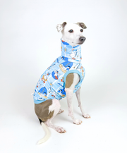 Splash Squad – UPF50+ Sun Crop