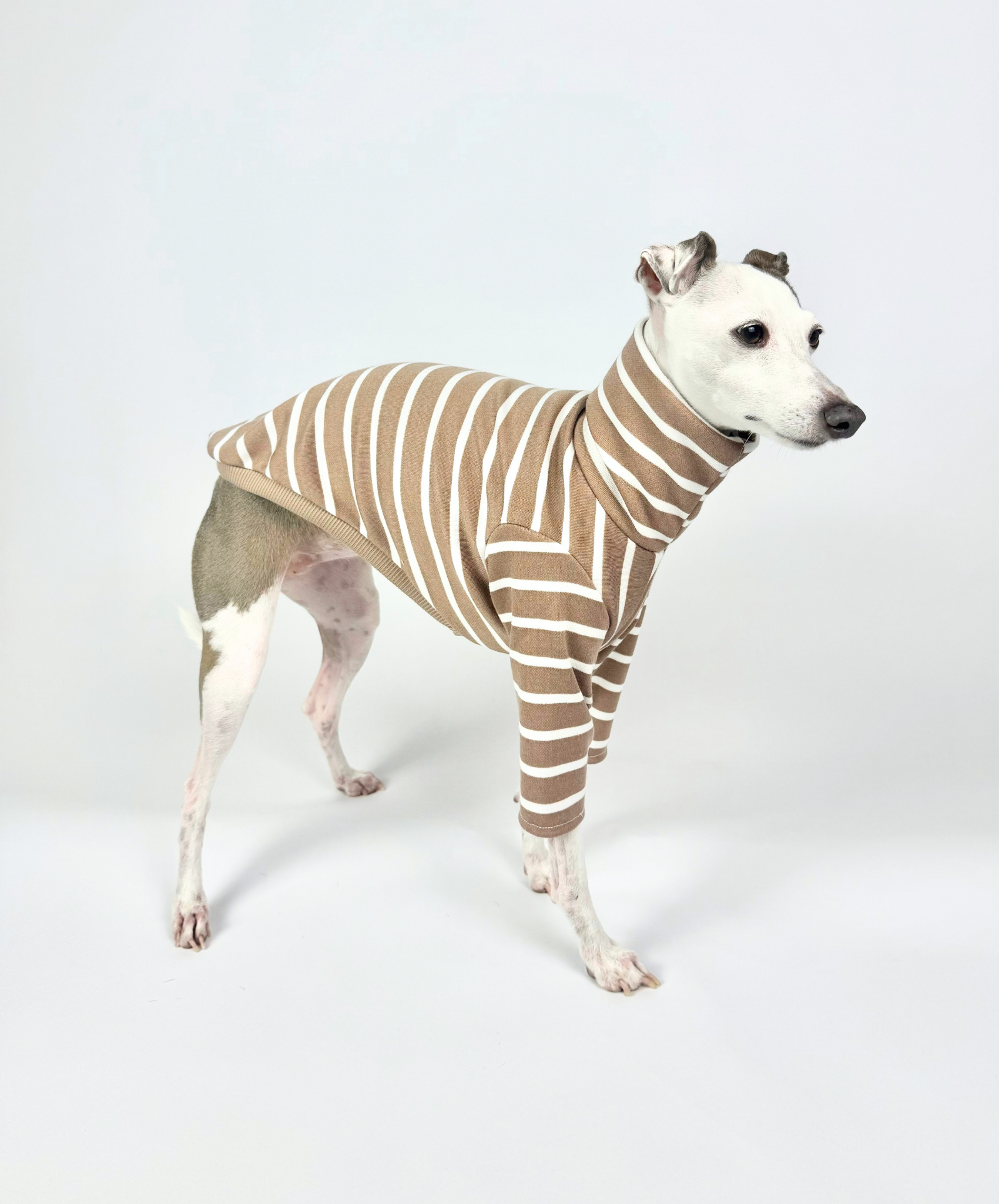 Tiramisu – Half Suit
