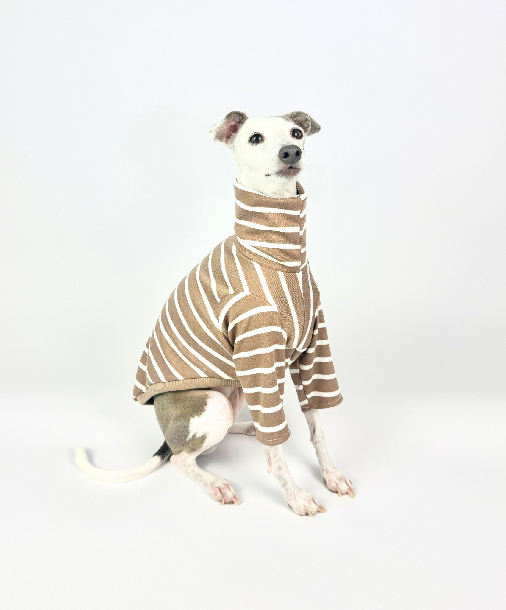 Tiramisu – Half Suit