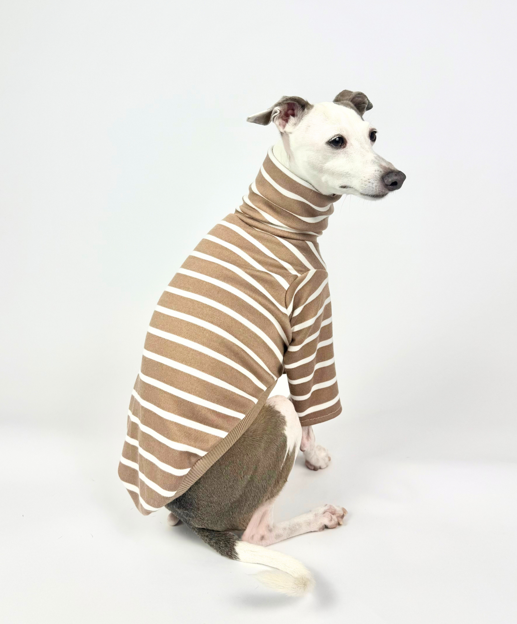 Tiramisu – Half Suit
