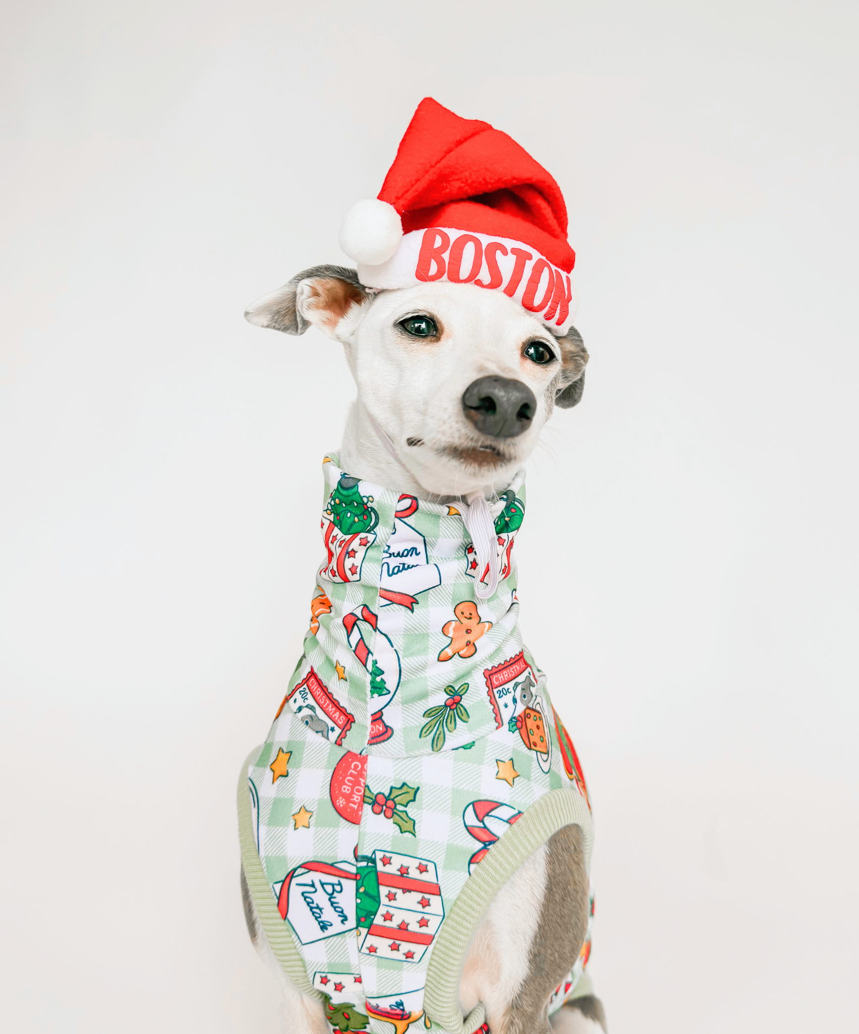 Bossy Customised – Bossy’s Santa Paws Hat
