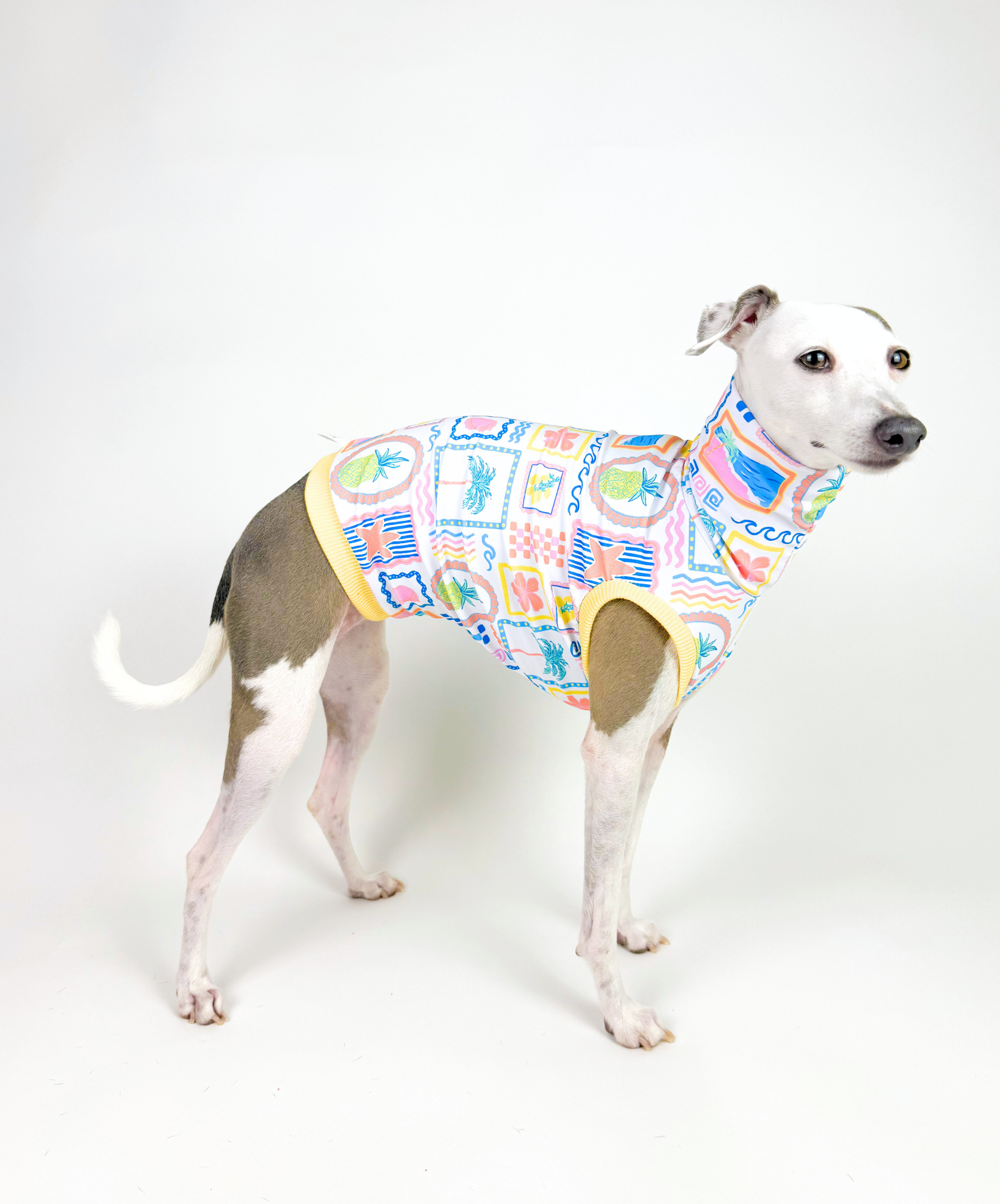 Vitamin Sea – UPF50+ Sun Crop