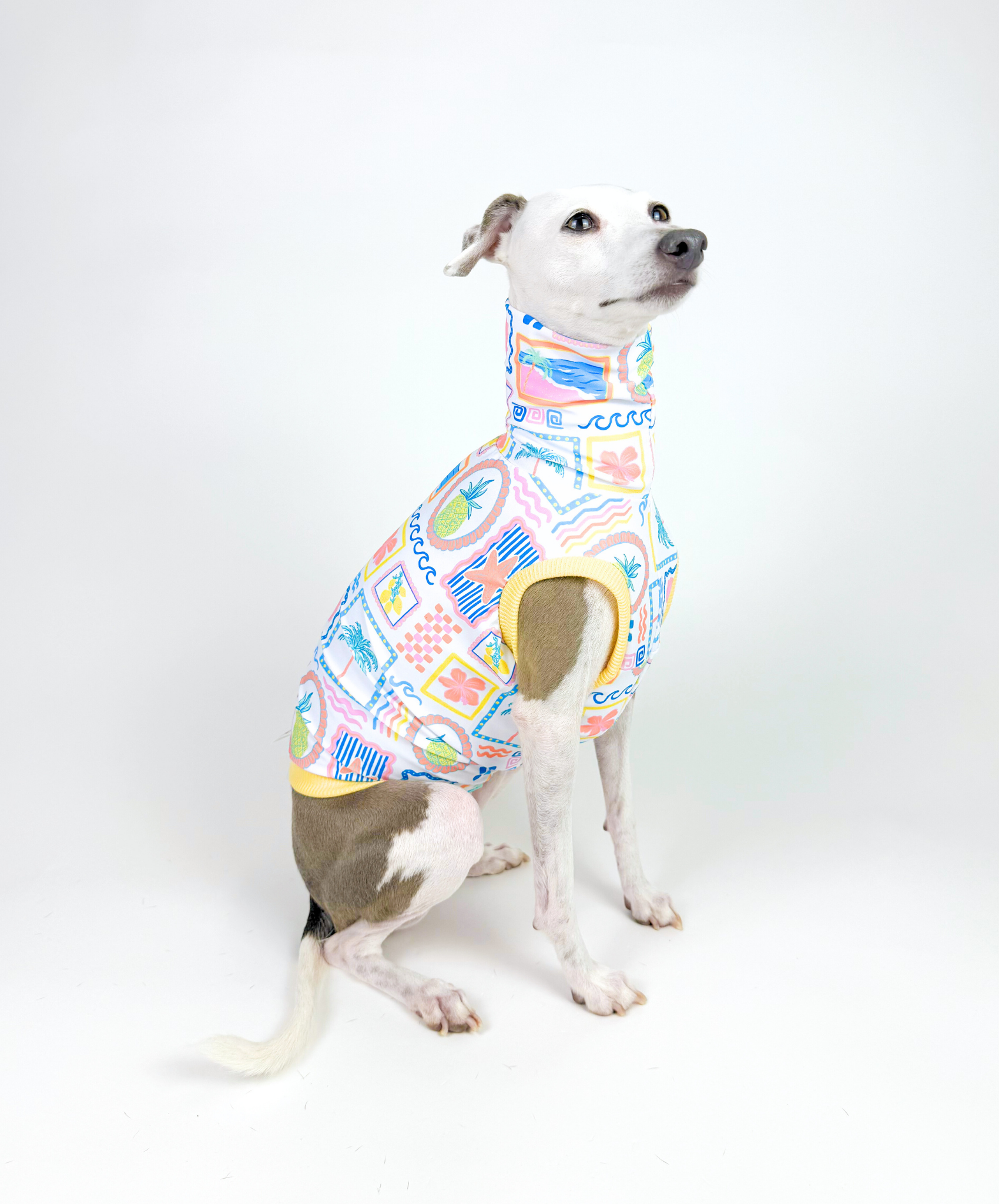 Vitamin Sea – UPF50+ Sun Crop