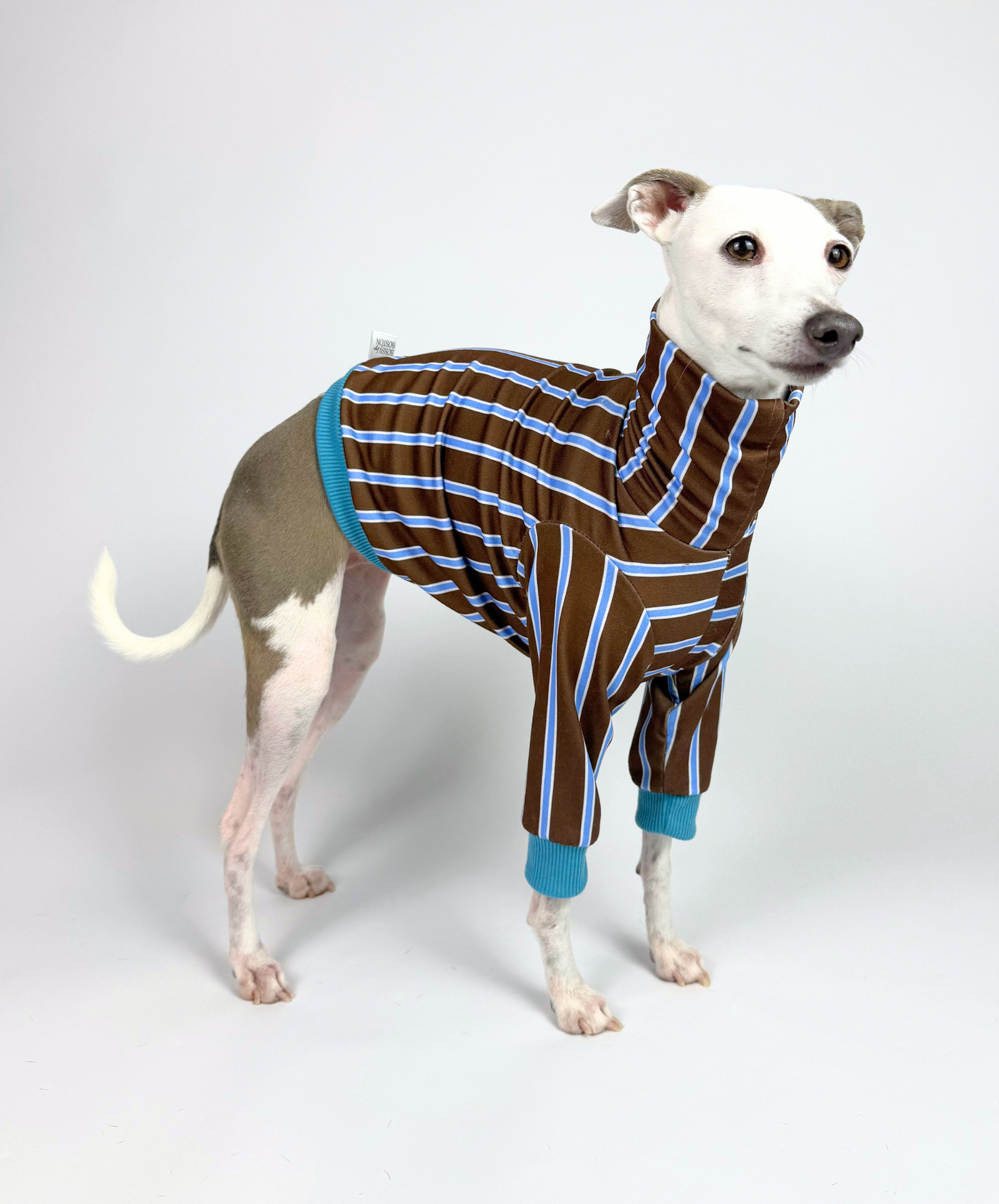 Biscuit – Cropped Half Suit