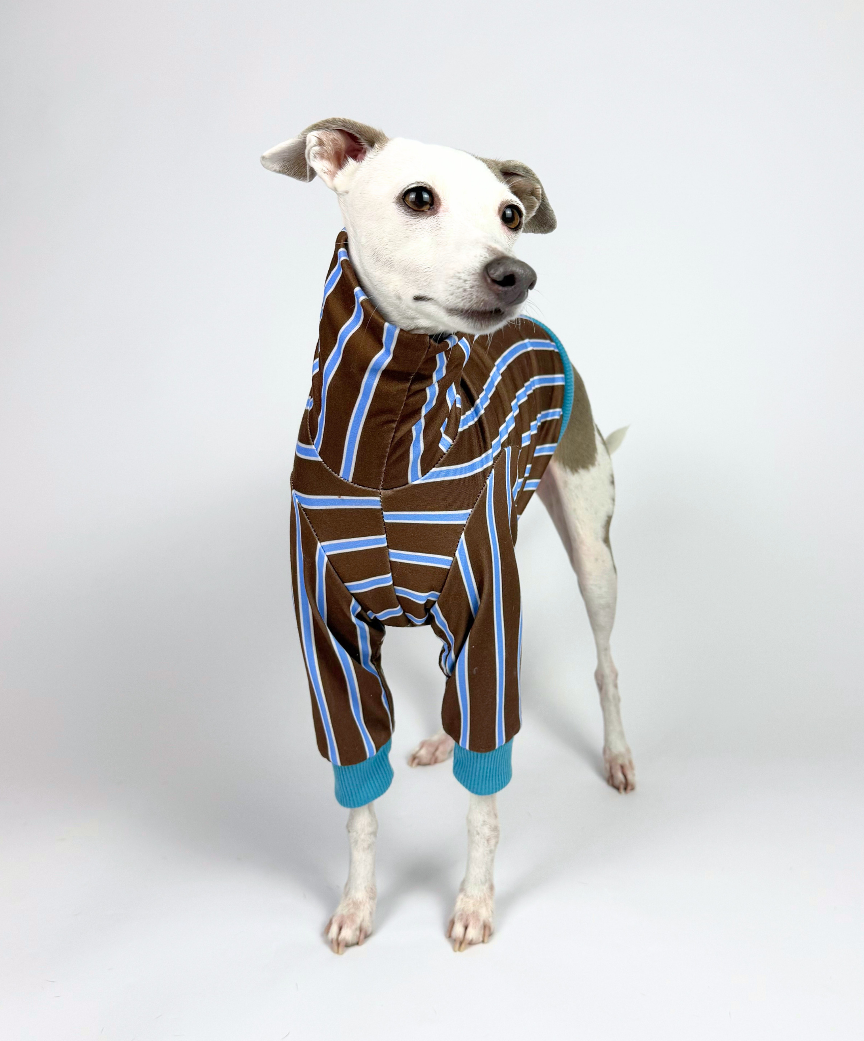 Biscuit – Cropped Half Suit