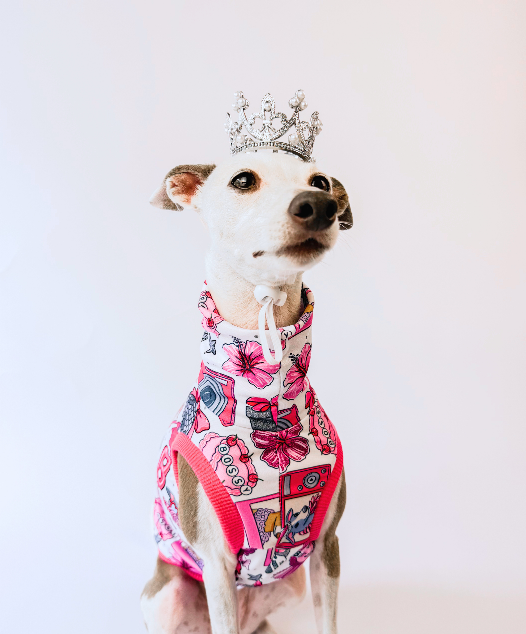 Bossy Birthday Bash – Sleeveless Crop