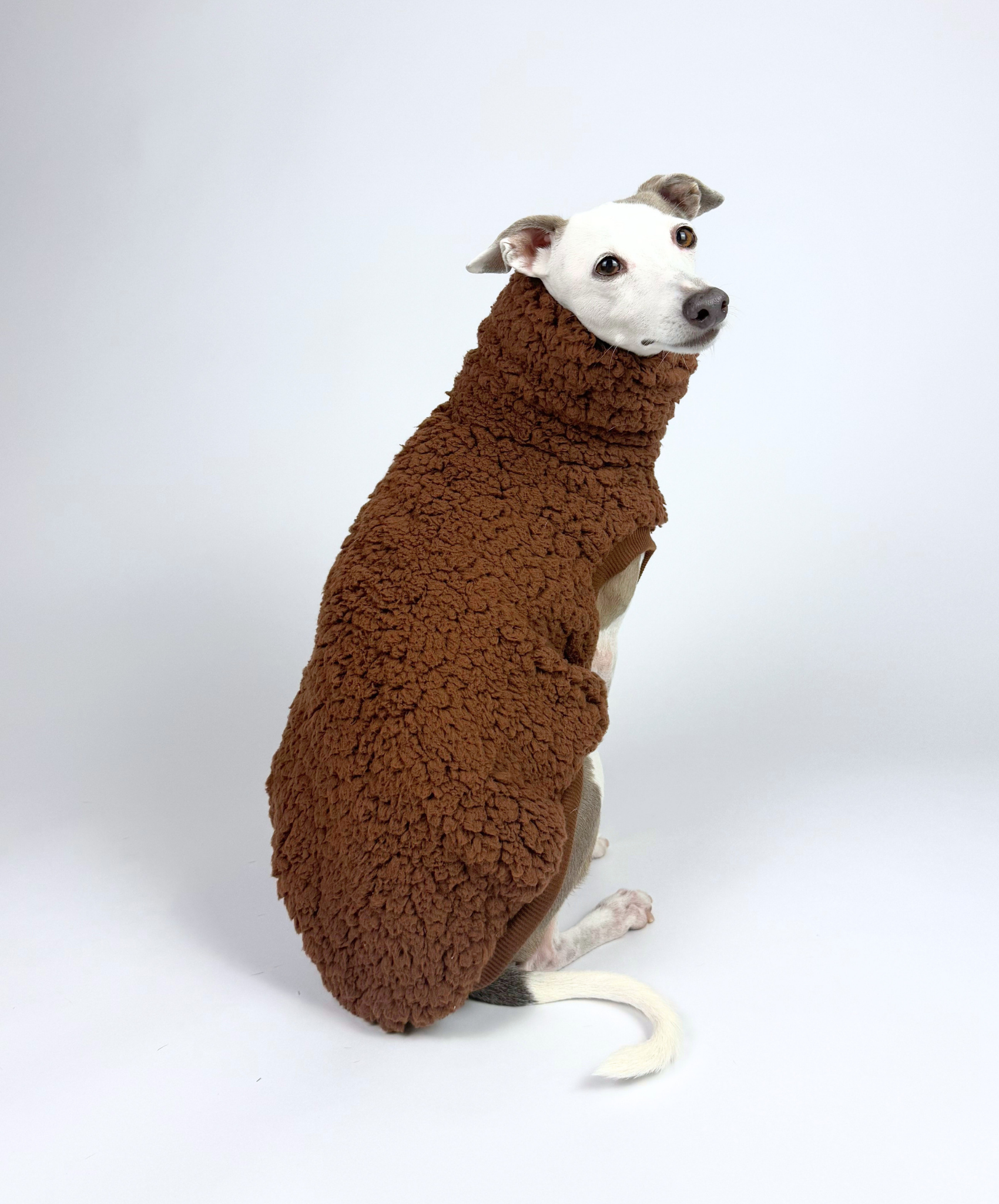 Hot Choc Teddy – Sleeveless Tank