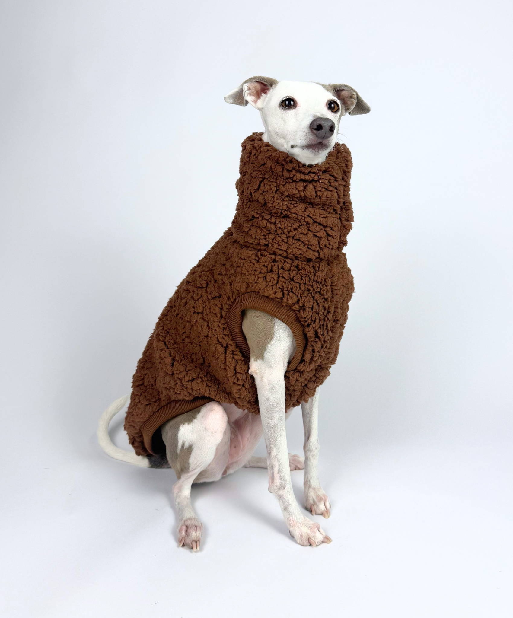 Hot Choc Teddy – Sleeveless Tank