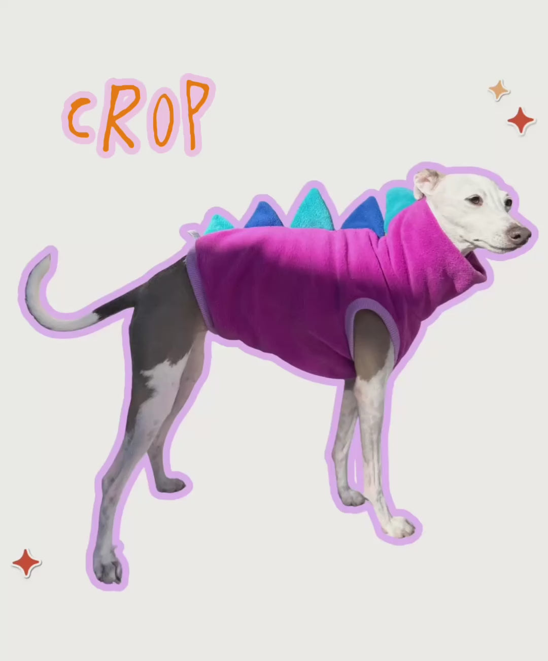 Load video: Bossy Customised – Build a Dinosaur
