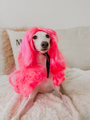 Dog Wigs